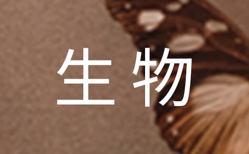 꼉̰ʳ