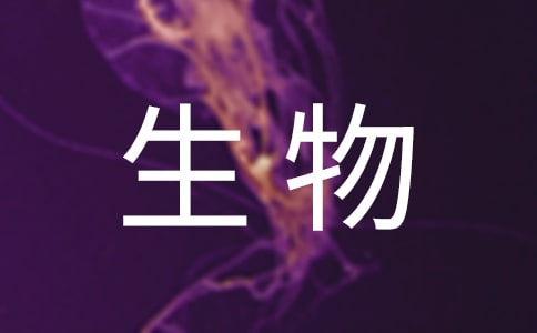 꼉σ̰[x]