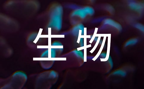 ̰Rƪ