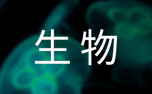 ̰15ƪϼ