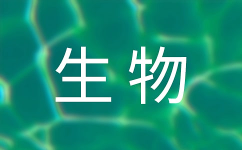 Pڰ꼉̰ąR9ƪ