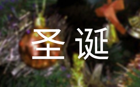 xʥQ300\6ƪ