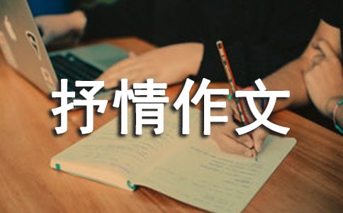 P6004ƪ