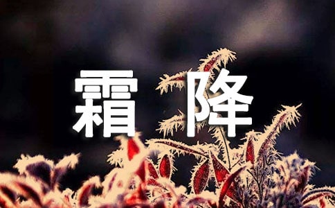 ˪ĺξ