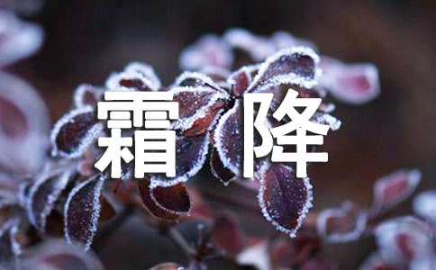 ˪B140