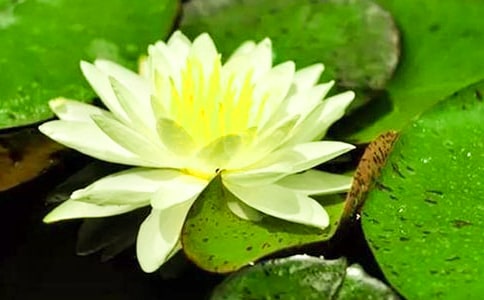 茑˯ɏăģͨ35ƪ