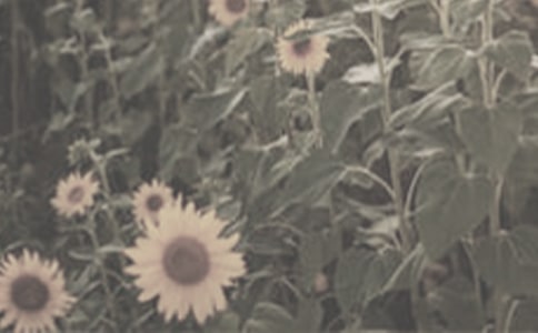 NһƬ̫ꖻĽ̌WOӋ
