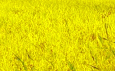 Ұ