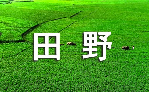 õҰļ4ƪ