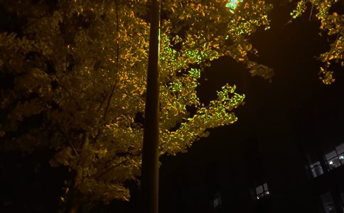 (jng)ܰZZ䛼49