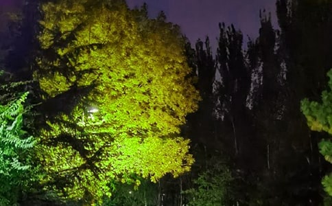 PõZZ䛴󼯺55