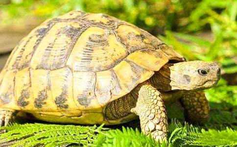 аgȤĞ̰6ƪ
