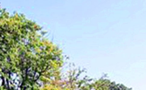 ܰ簲Z䛣x90䣩