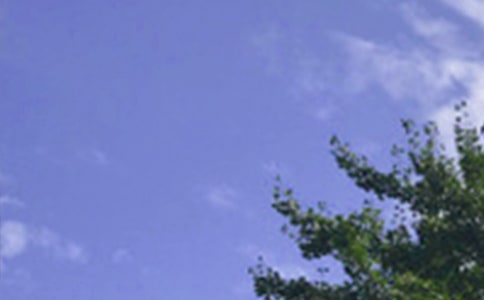 簲Z䛅R69l