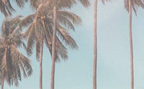 ҿăļ