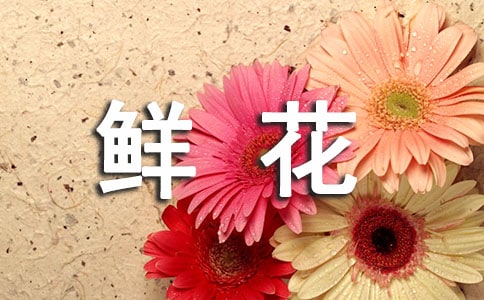 rǡ