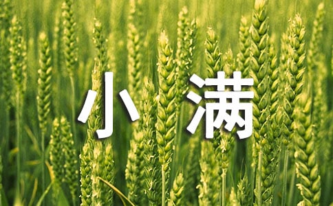 СMȦӅRx60䣩