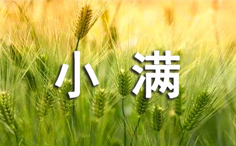 mСMľ
