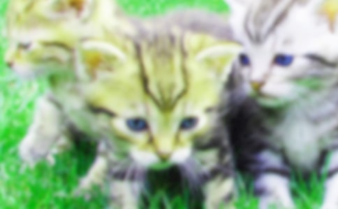 ҺС؈