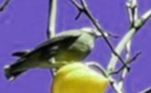 СW꼉gСBļҡ̰