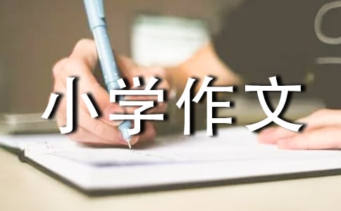 ؂䡿СW300ƪ