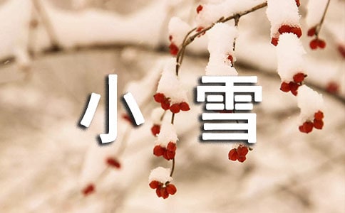 ׃@СࡶСѩ̰