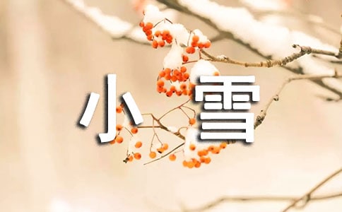 ׃@С̰Сѩ