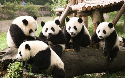 Сw؈L̰5ƪ