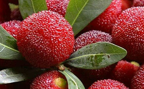 ժ÷15ƪ