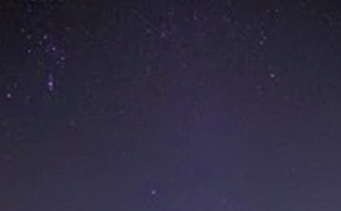 l ٶ