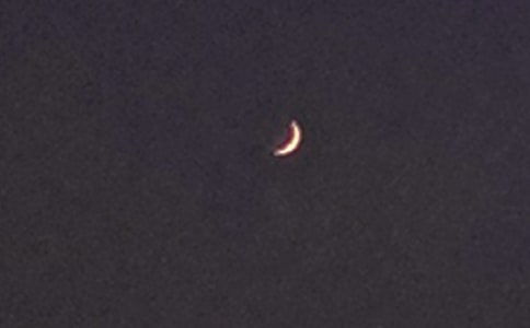 ľ29