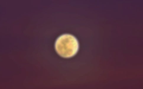 [T]ҹA5ƪ