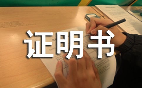 r巿ݮaC