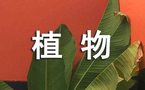 ֲk@̰