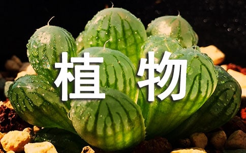 ֲ~Ľ̌WOӋ