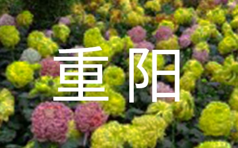 Pꖵ
