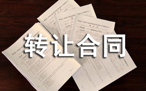 T淿D׌ͬ
