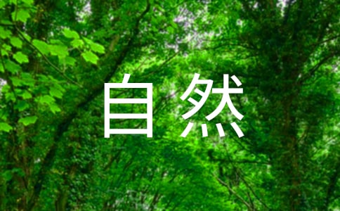 СW(xu)҂܇Ŀ՚⡷ȻƌW(xu)̰