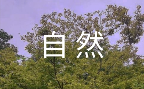 ȻԽ̰3x˱
