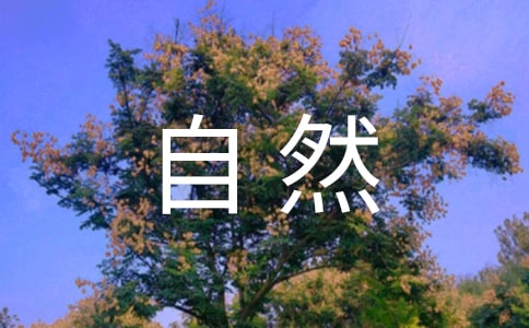 Ȼ̰ﶬ