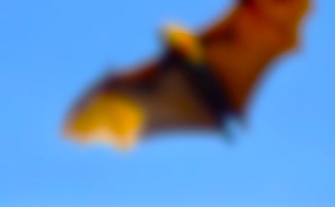 _